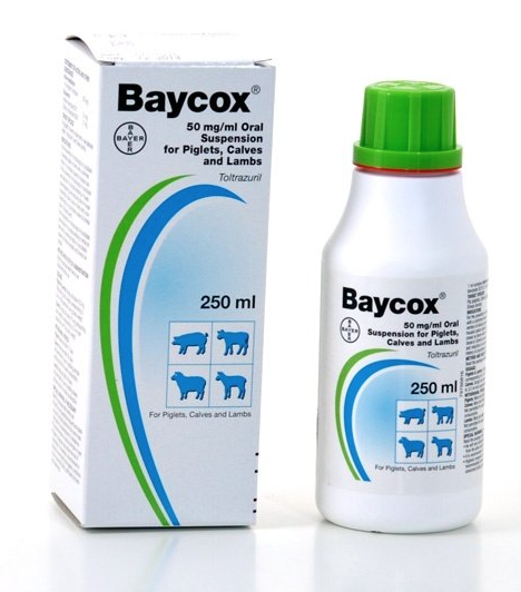 baycox