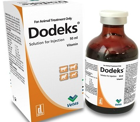 dodeks