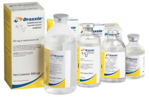 draxxin-nerede-satilir