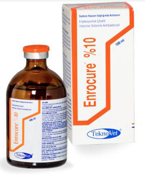 enrocure-10