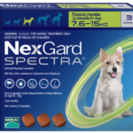 nexgard-spectra